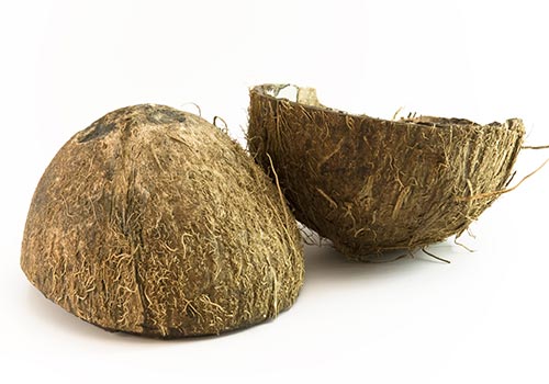 kokosschale